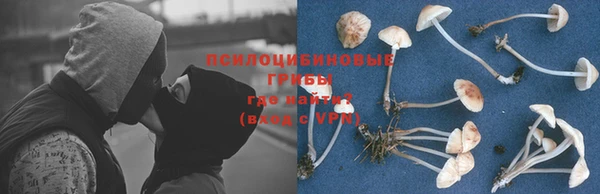 дмт Бугульма