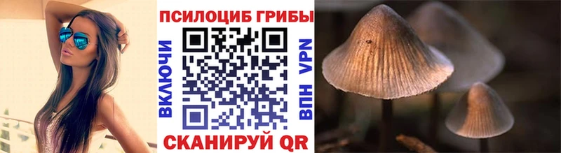 Псилоцибиновые грибы мухоморы  Киселёвск 